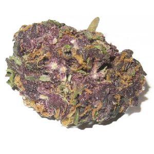 BUY GRANDDADDY PURPLE