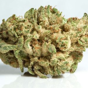 BUY GORILLA GLUE #4
