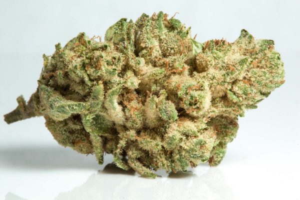 BUY GORILLA GLUE #4