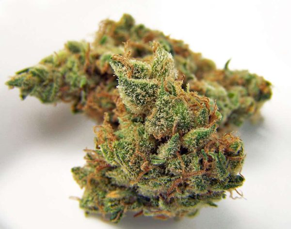 BUY NORTHERN LIGHTS