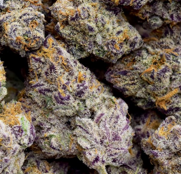 BUY PURPLE HAZE - Image 2