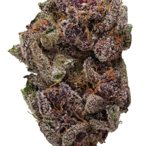 BUY PURPLE HAZE