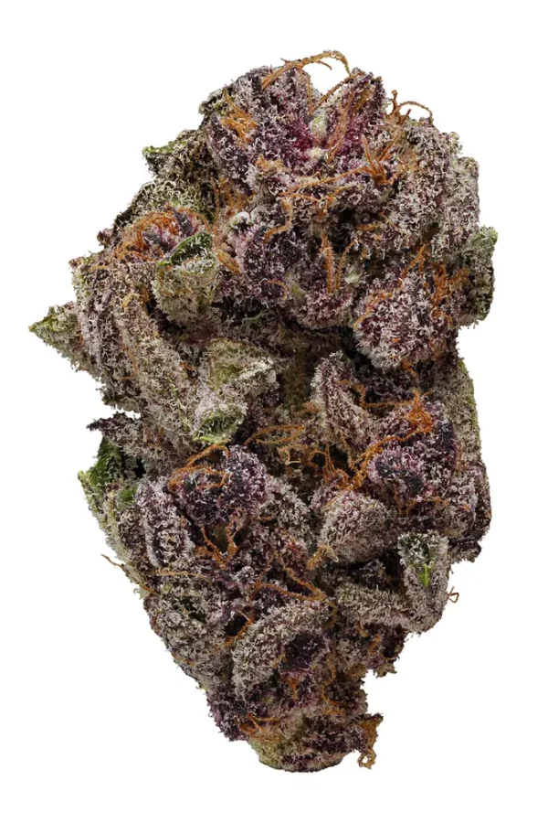 BUY PURPLE HAZE