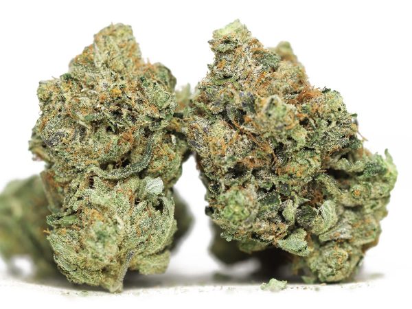 BUY GORILLA GLUE #4 - Image 2