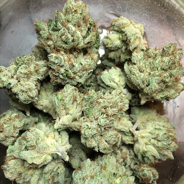 BUY SKYWALKER OG - Image 2