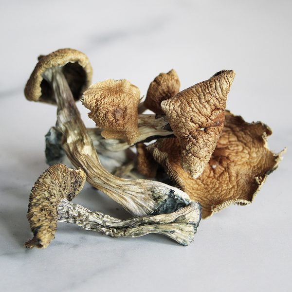 BUY CUBENSIS - Image 2