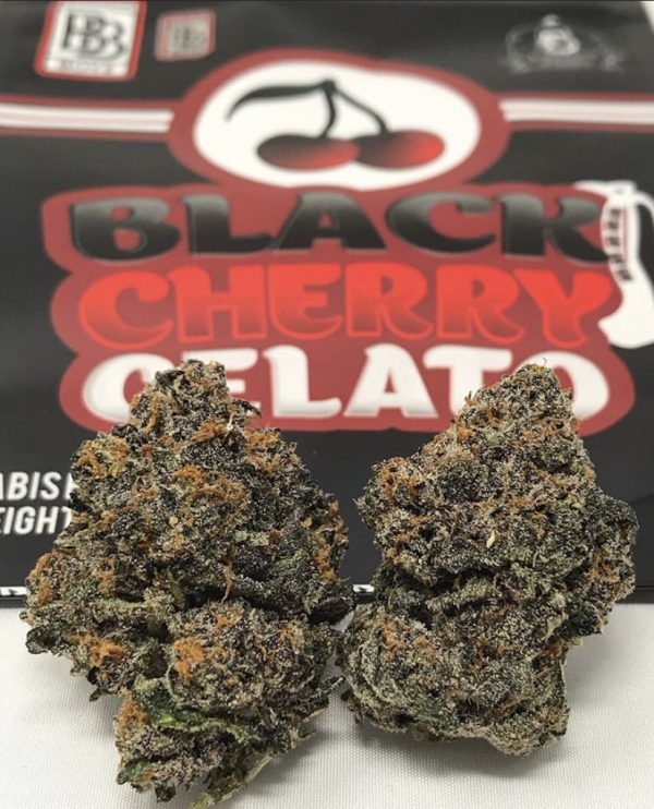 BUY PERSY BALLER JAR - BLACK CHERRY GALETO - Image 3
