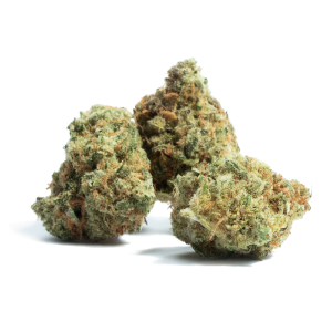 BUY AMNESIA HAZE