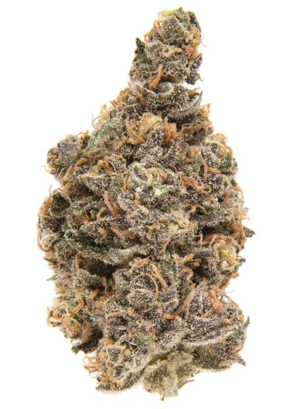 BUY BLUEBERRY - Image 2
