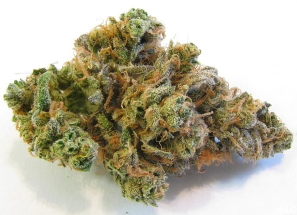 BUY BLUE DREAM