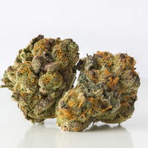 BUY GELATO 33