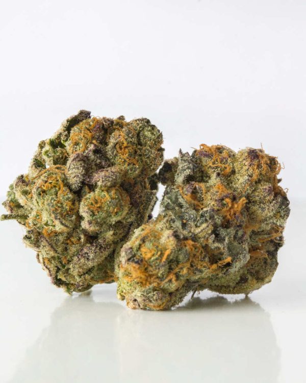 BUY GELATO 33