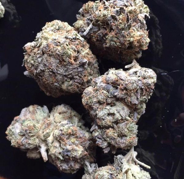 BUY PURPLE PUNCH - Image 2