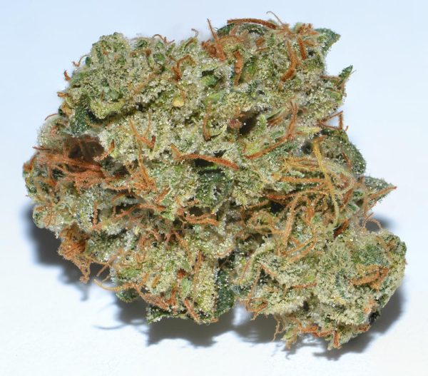 BUY SFV OG