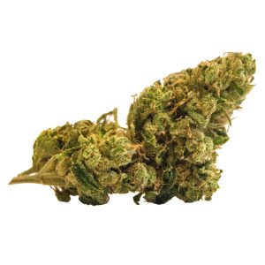 BUY SUPER LEMON HAZE