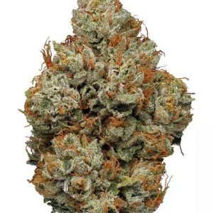 BUY OG KUSH