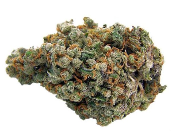 BUY TRAINWRECK